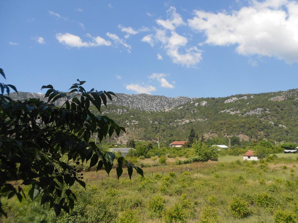Fire Pansiyon Cirali Exterior foto